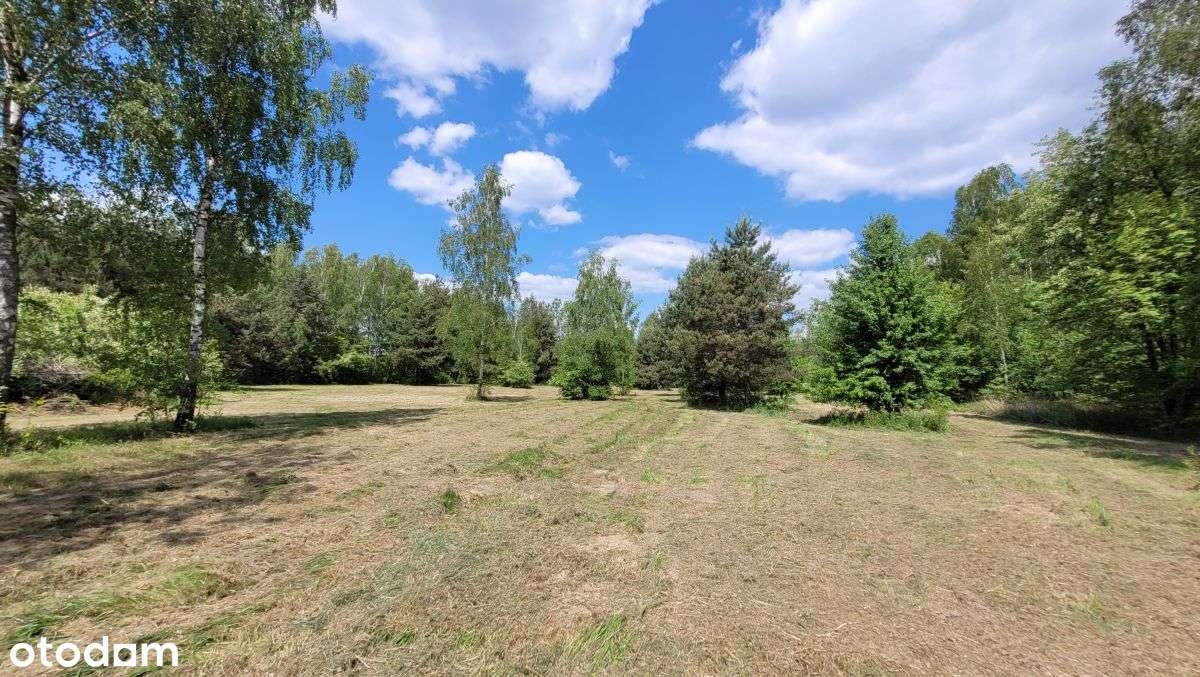 Duża Działka Z Mpzp - Pełny obrazek: 4/9