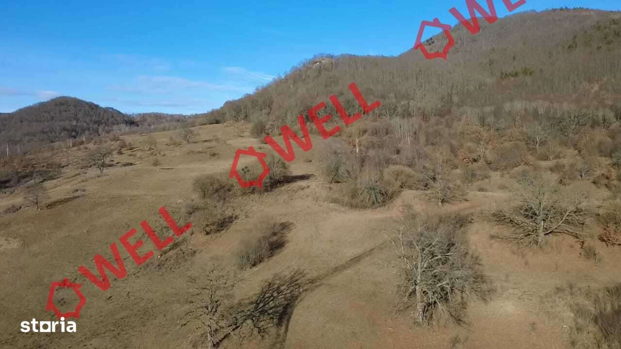 De vânzare teren extravilan în Cheile Vârghişului - Imagine principală: 4/9