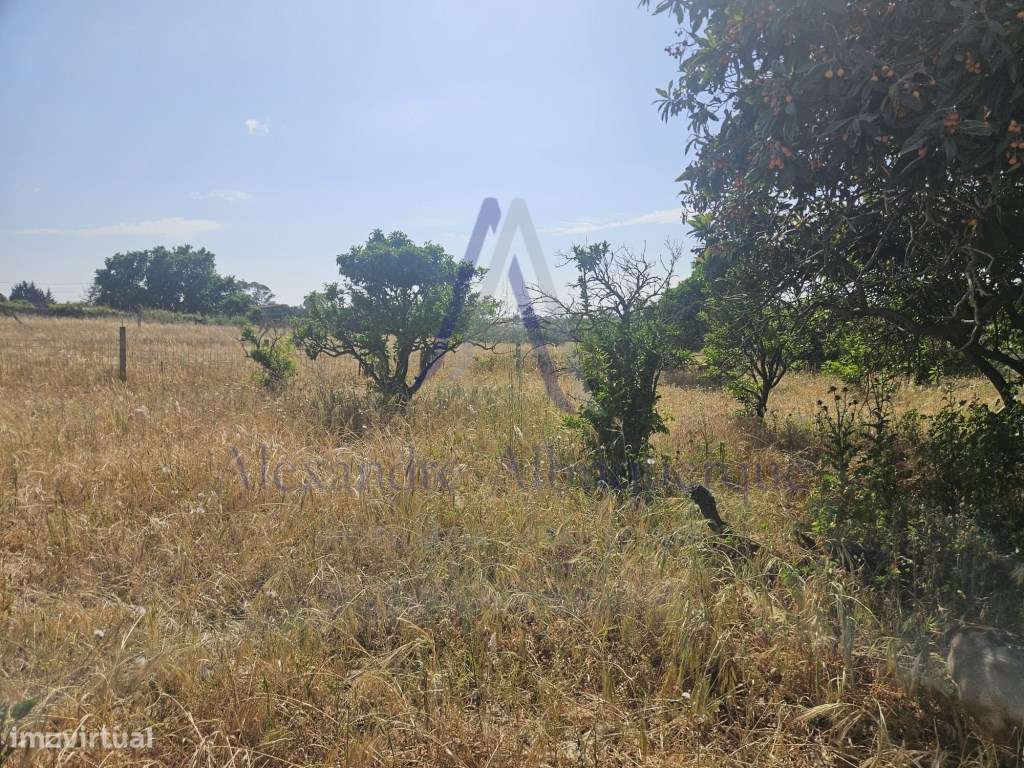 Quinta com 3 Habitações | Pinhal Novo | Terreno 5.400 m²-21