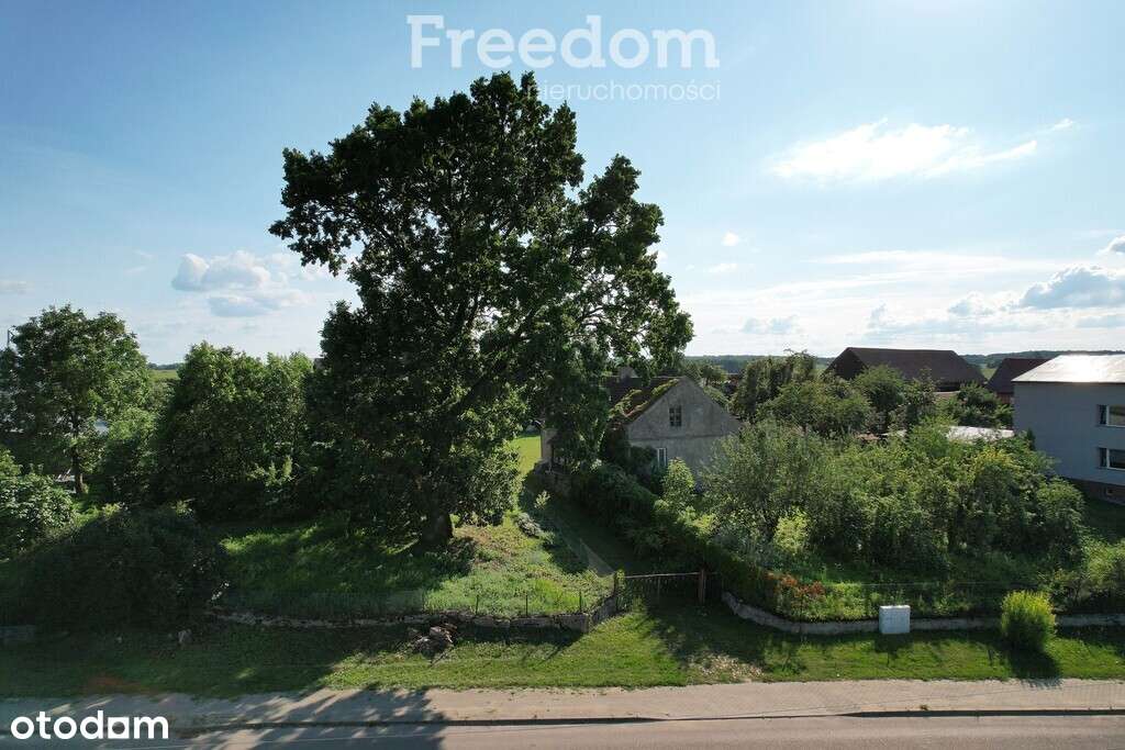 Grabnik – siedlisko 4200 m². - Pełny obrazek: 4/8