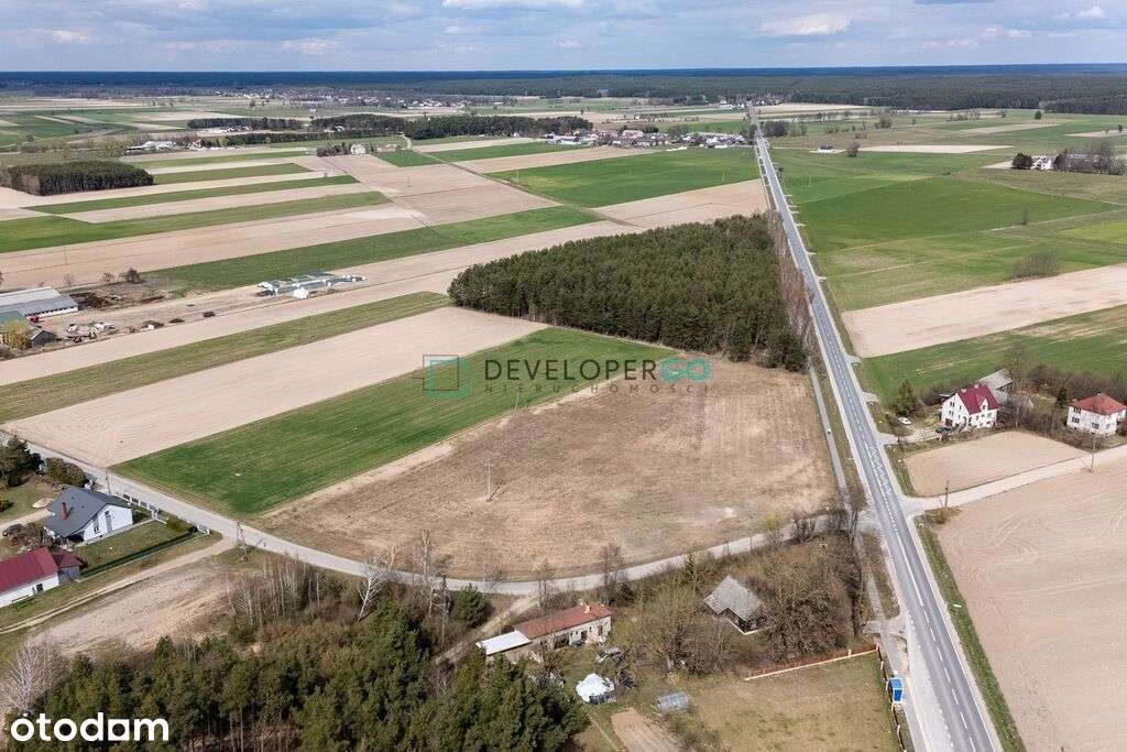 Działka inwestycyjna 1,29 ha, blisko Sypniewa - Pełny obrazek: 2/5
