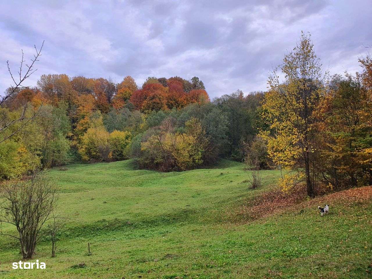 Puciosa Moreni Valea Lunga Sat Izvoru 20000mp teren de vanzare-11