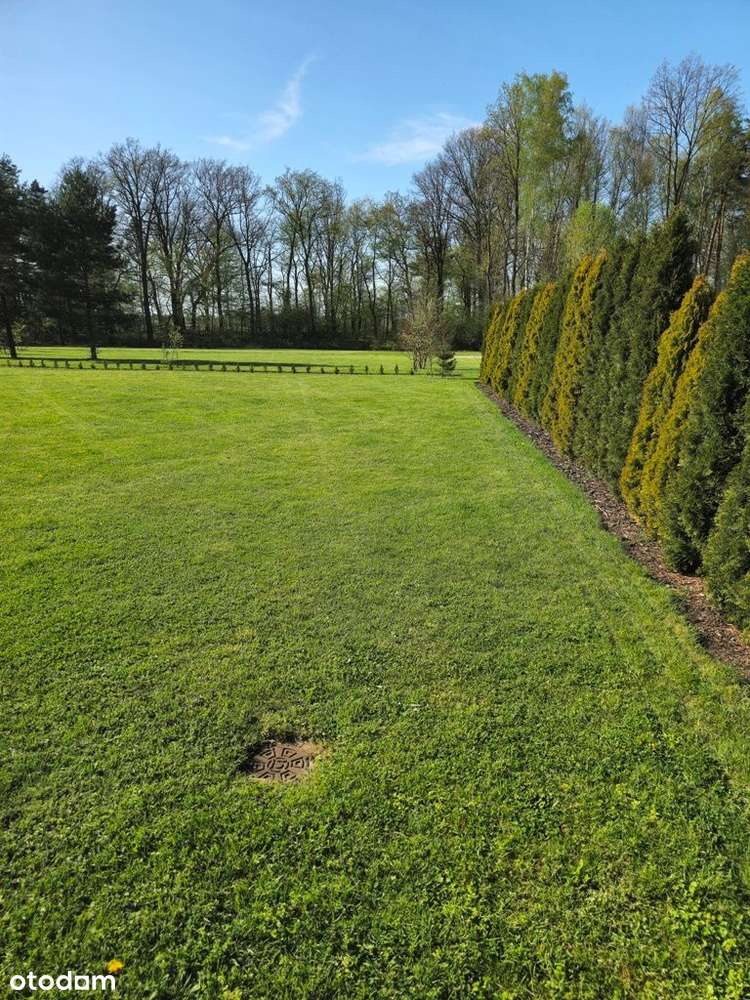 słoneczna działka bez smogu obok lasu-6