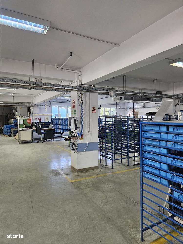 Exclusivitate - Proprietate Industriala De Vanzare - Productie - Depoz-14