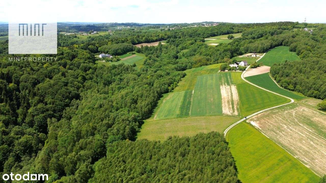 Działka siedliskowa na sprzedaż, Głobikowa - Pełny obrazek: 4/4