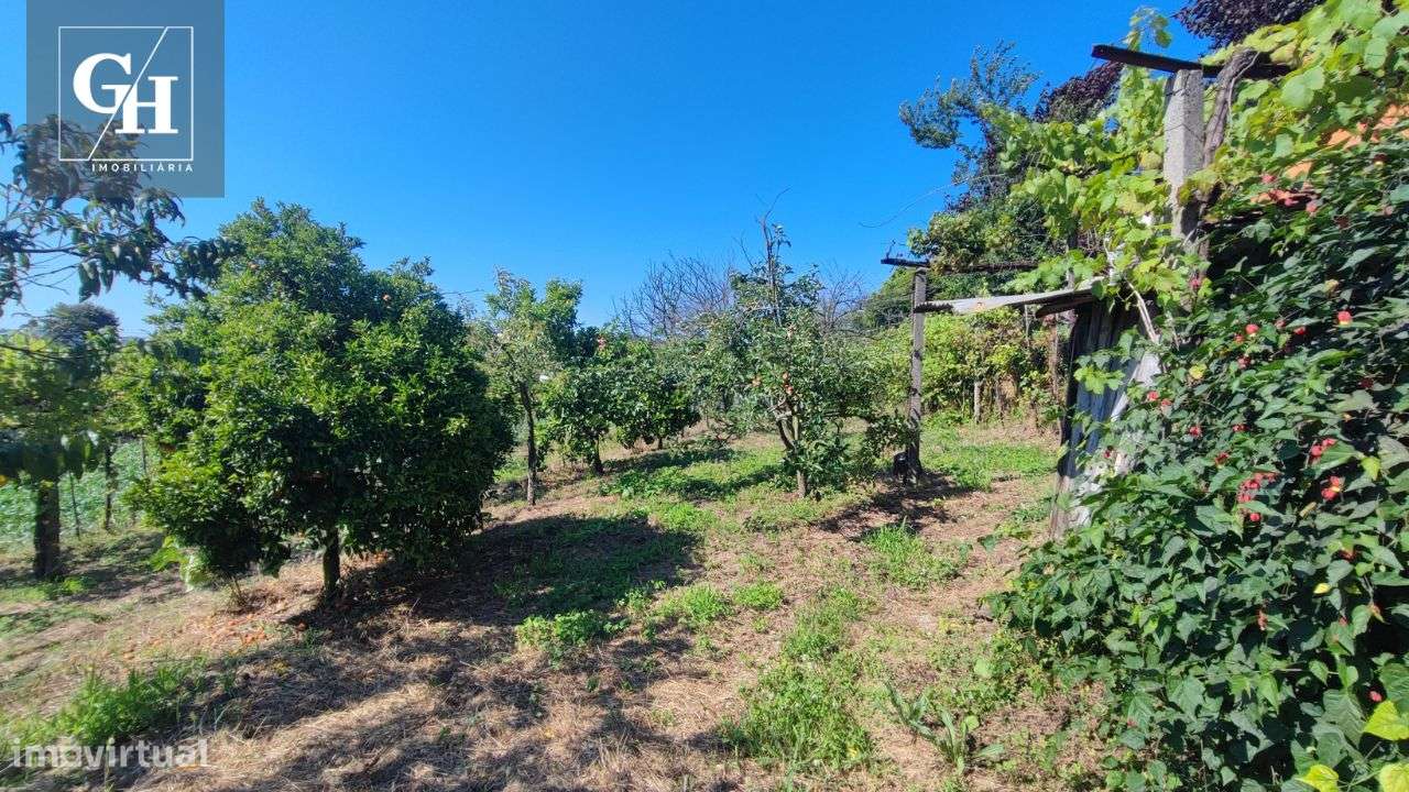 Terreno em Gondifelos-6