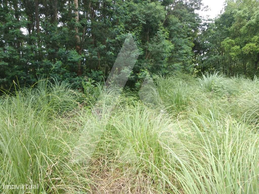 Terreno Industrial em Loureiro, Oliveira de Azeméis - Grande imagem: 4/8