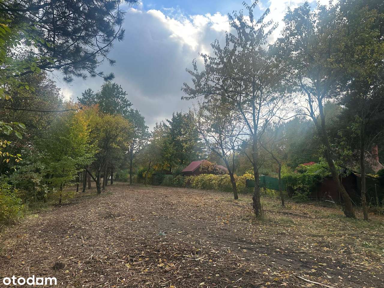 Kołbiel / Radachówka dz. budowlana nad Świdrem 30 min z W-wy trasą S17-15