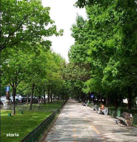 Vanzare apartament de 4 camere in zona bd Unirii-Casa Poporului - Imagine principală: 3/4