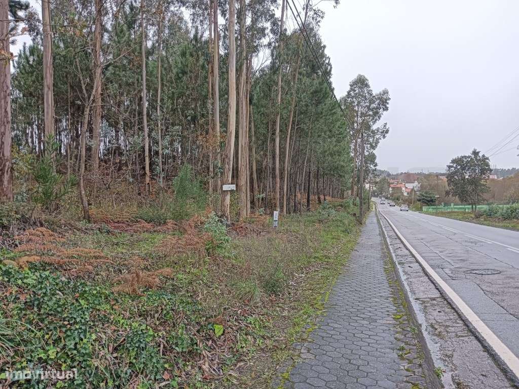 Terreno com 90 m de frente - Aveiro - Grande imagem: 4/21