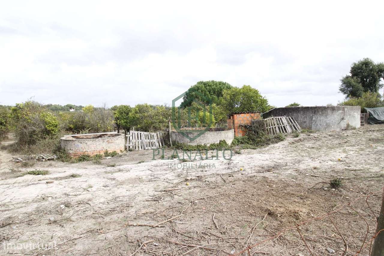 Quinta  Venda em Vendas Novas,Vendas Novas - Grande imagem: 4/17