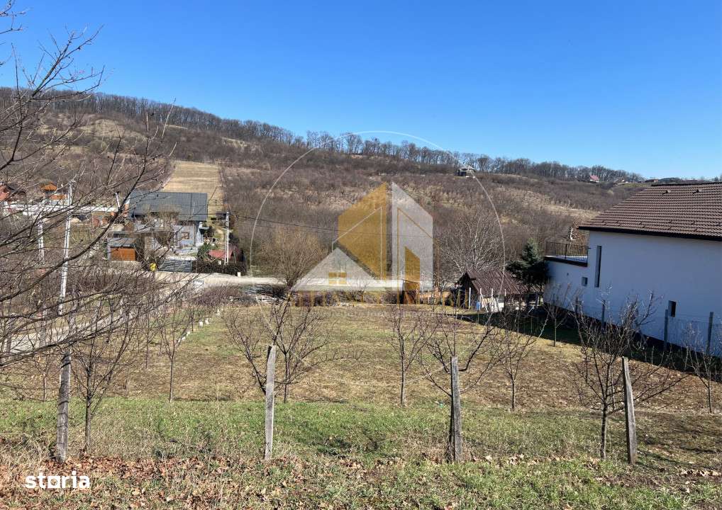 Teren intarvilan de vanzare - Valea Rusului.-6