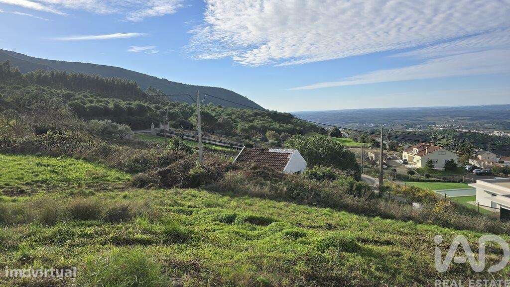 Terreno para construção em Lamas e Cercal - Grande imagem: 5/12