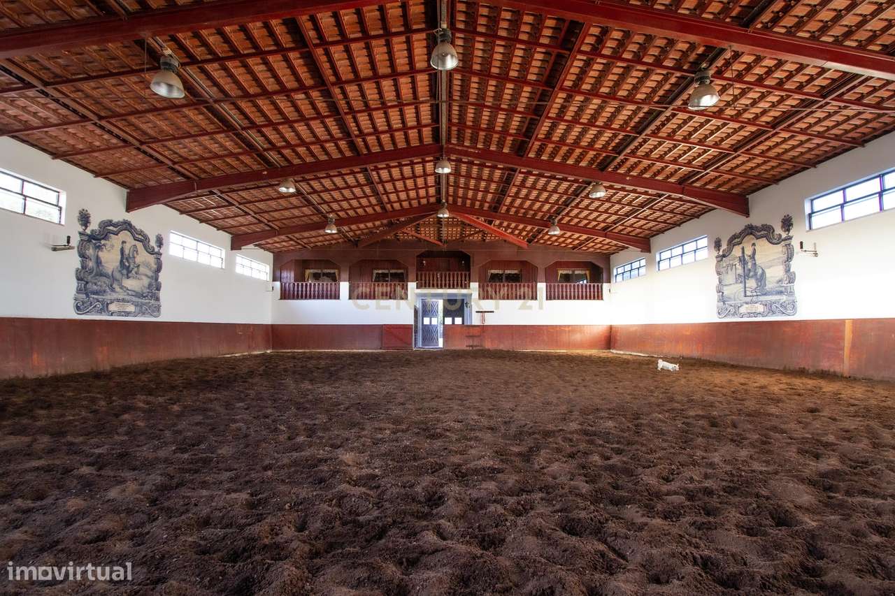 Quinta com um hectare de terreno e Picadeiro coberto em Azeitão - Grande imagem: 4/58