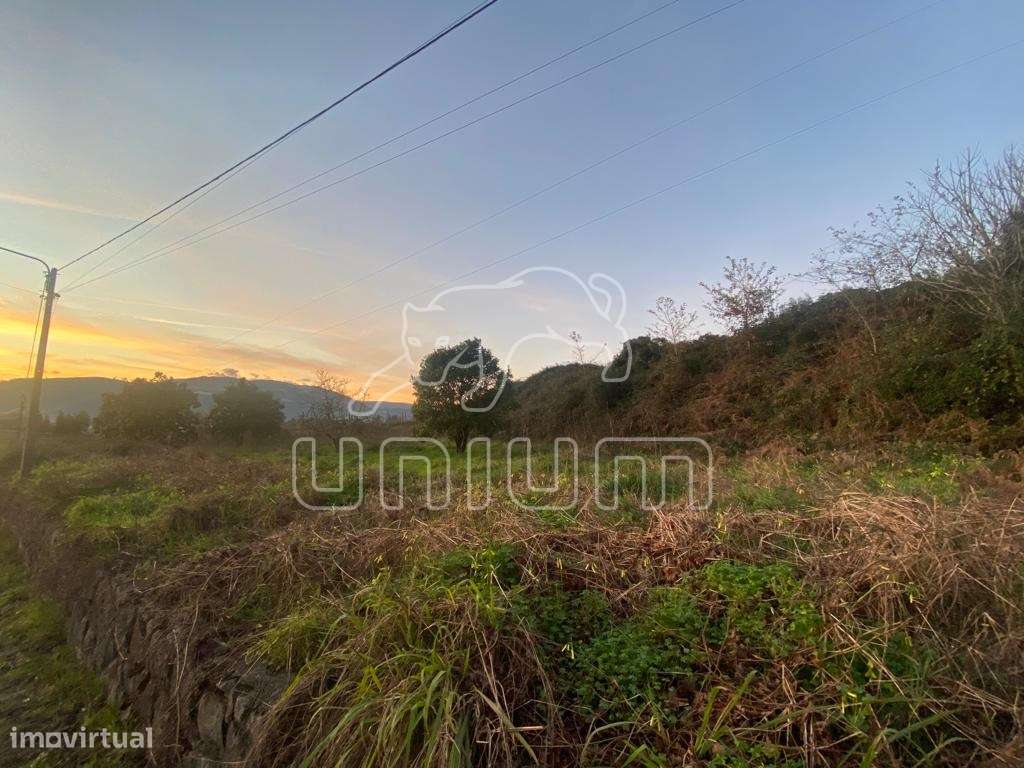 Terreno em Ponte de Lima - Grande imagem: 4/16