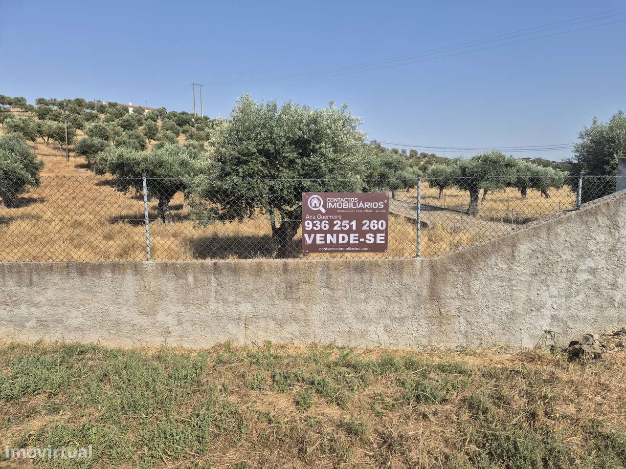 Quinta V5 com 15.000 m2 em Ourique-29