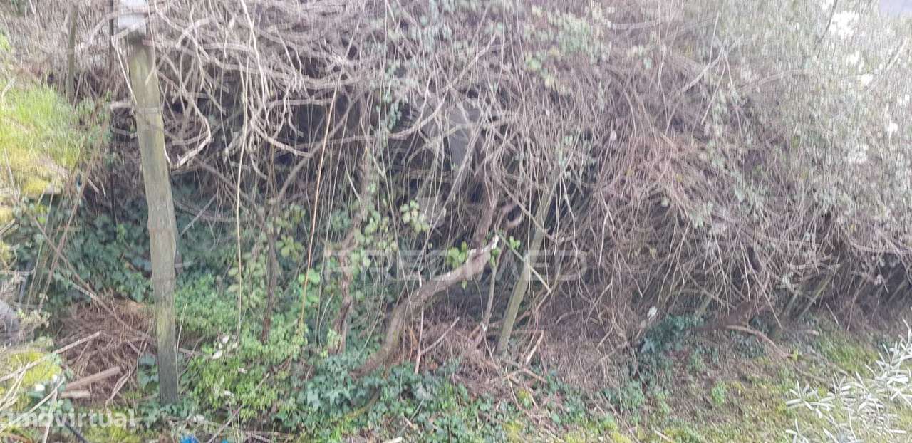 Terreno Rústico - Grande imagem: 2/2