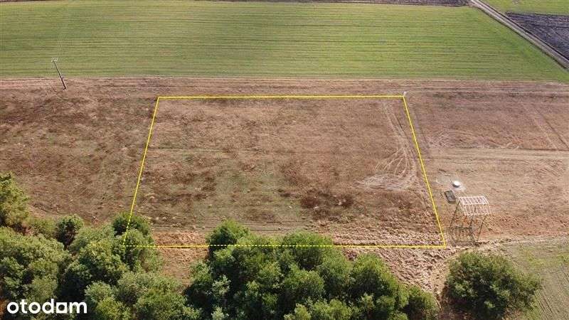 Boleń (k. Dąbrówki Wlkp.)-działka w otoczeniu lasu - Pełny obrazek: 5/8
