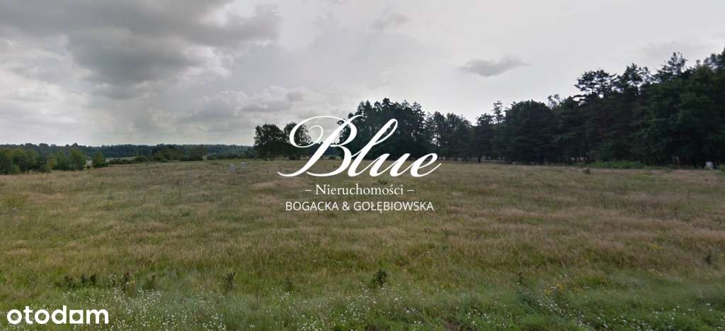Działka w sąsiedztwie przyrody - Niewiadowo - Pełny obrazek: 2/3