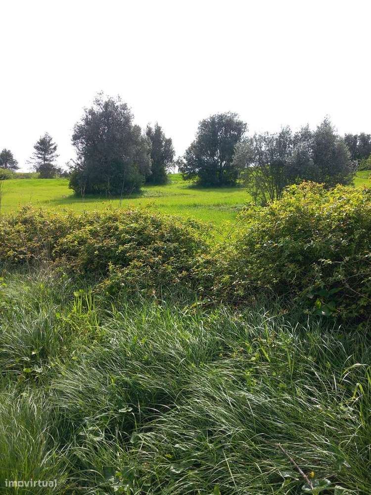 Venda Terreno - Grande imagem: 5/5