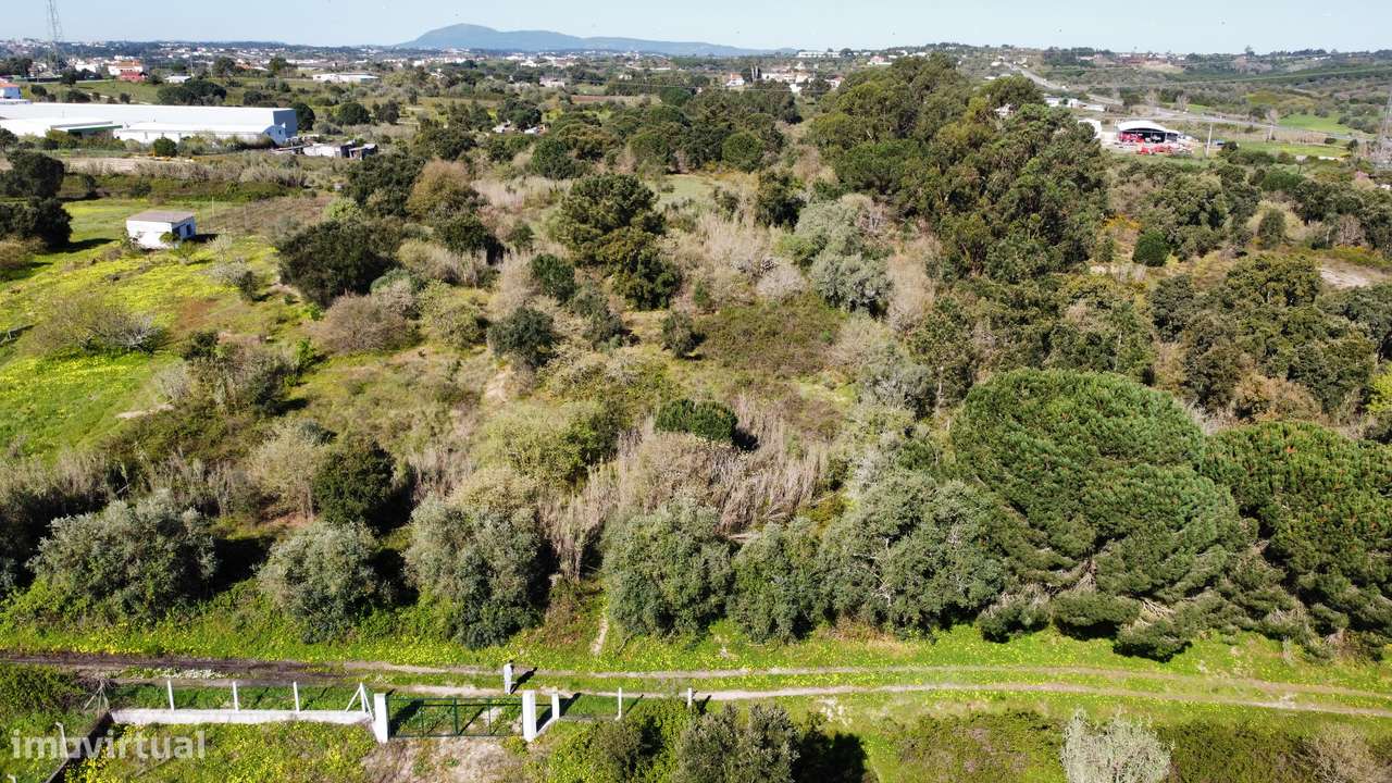 Apresento terreno agrícola, no Cartaxo com área total de 12 200 m2-6