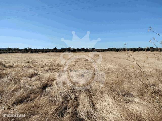 TERRENO RÚSTICO 4500 M2 - Grande imagem: 4/9
