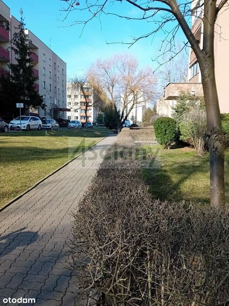 Ciche 4-pokojowe mieszkanie na Mokotowie-17