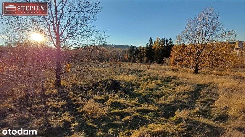 Urokliwa działka budowlana w Świeciu - Pełny obrazek: 5/10