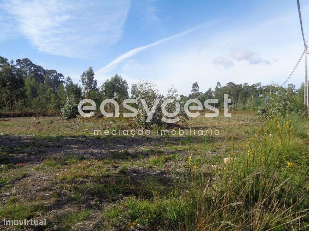 Terreno p/ Construção de Armazém ou Moradias - A29 Maceda/Arada - Grande imagem: 2/9