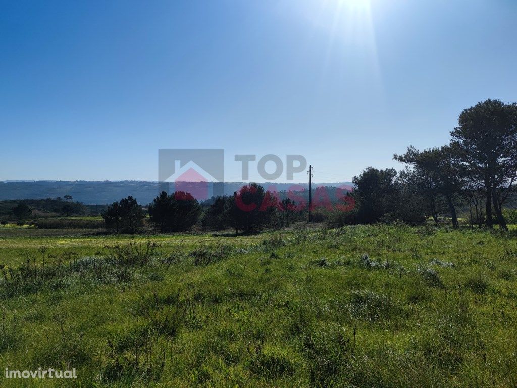 Terreno na Serra da Pescaria, Nazaré