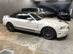 Ford Mustang Shelby GT500 Cabrio 5.4 V8 - 54