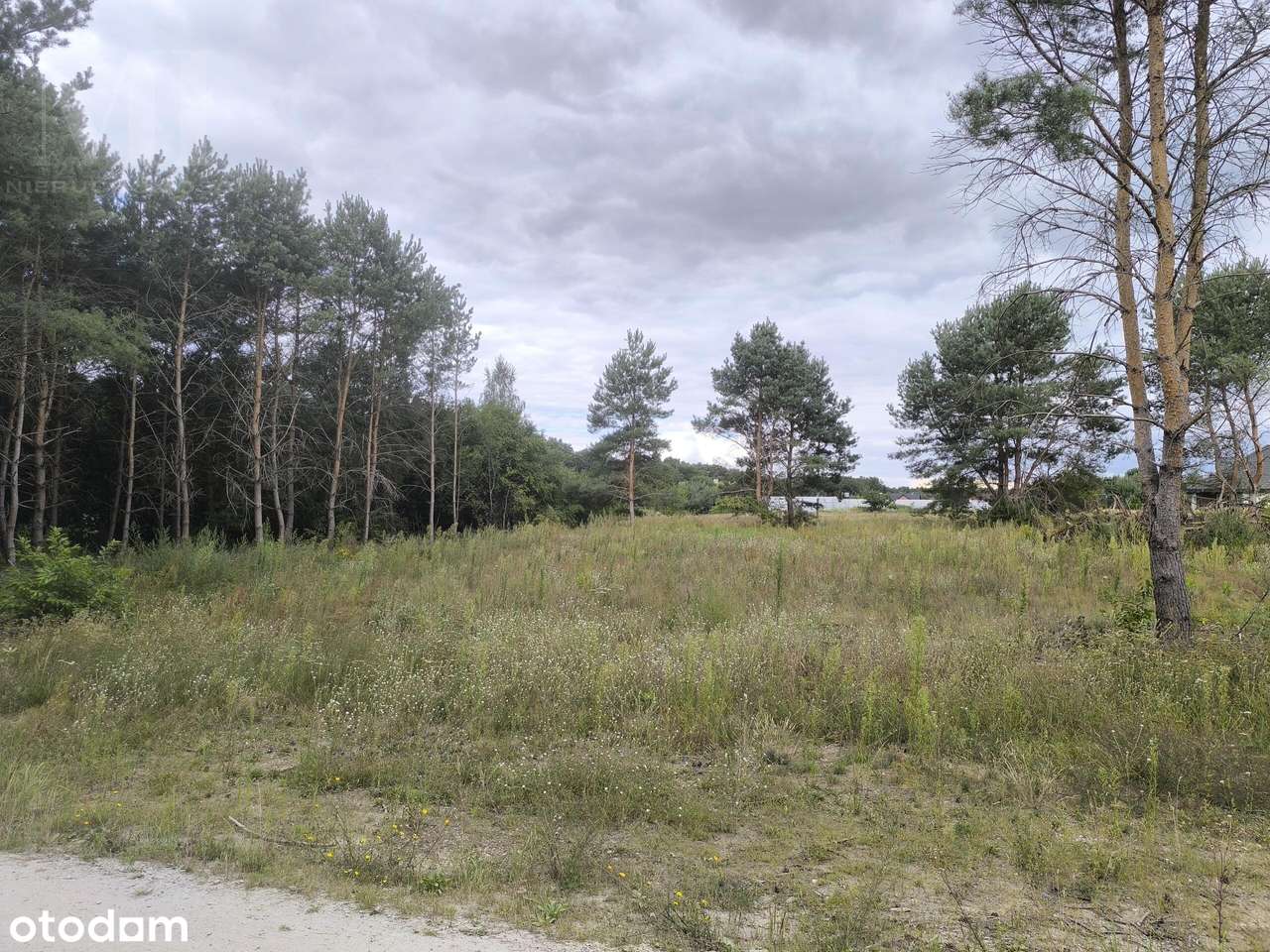 Działki budowlane gm. Ślesin - Pełny obrazek: 4/8