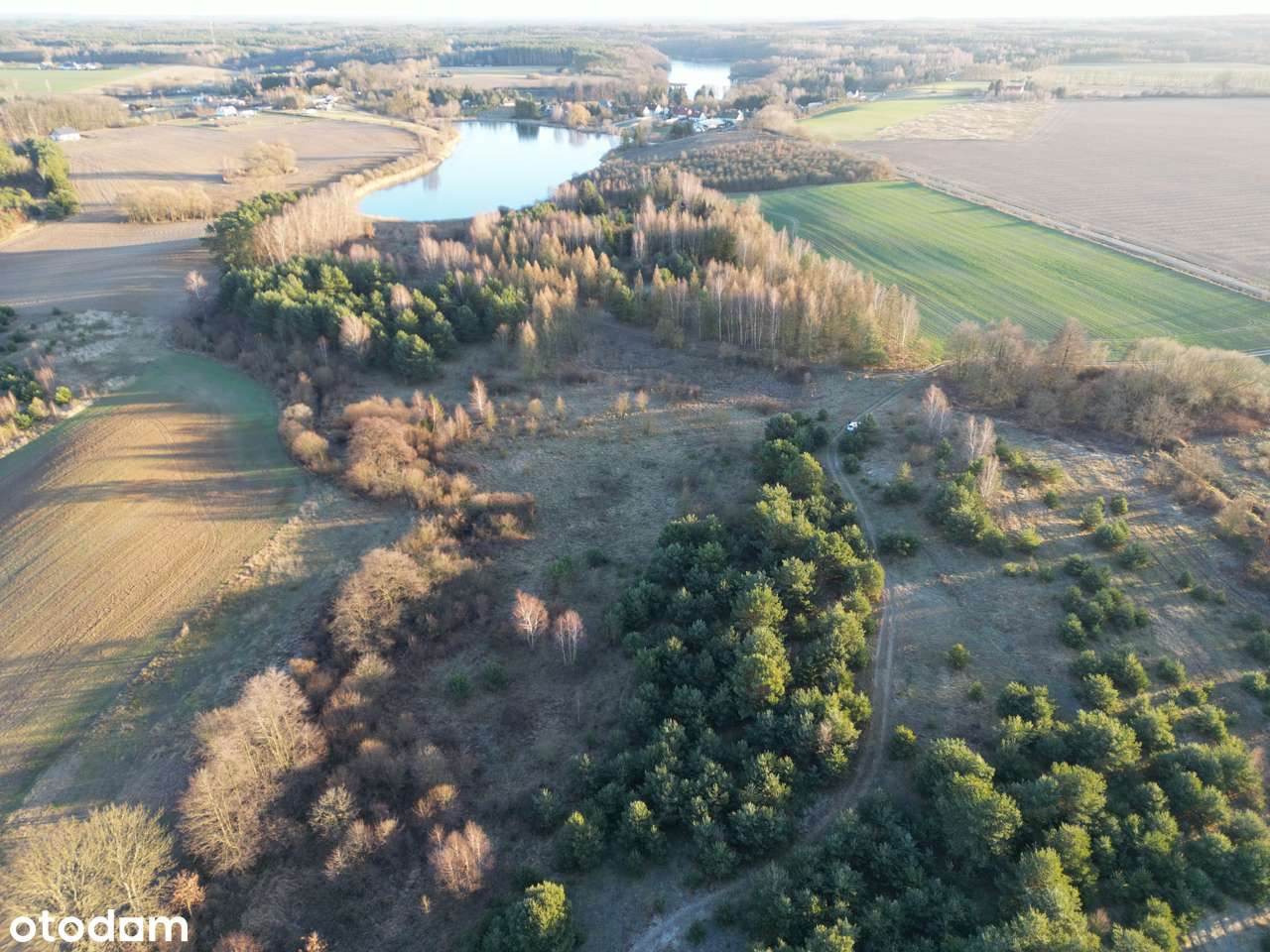 Działka rolna 10140 m2 Nienawiszcz gm. ROGOŹNO-2