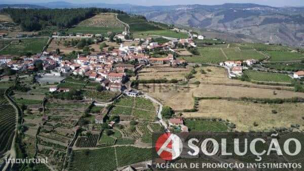 Terreno c/vinha e projeto p/moradia aprovado - Grande imagem: 3/8