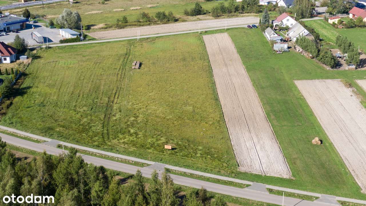 Grunt Nowa Dęba 14, 13ar - Pełny obrazek: 5/6