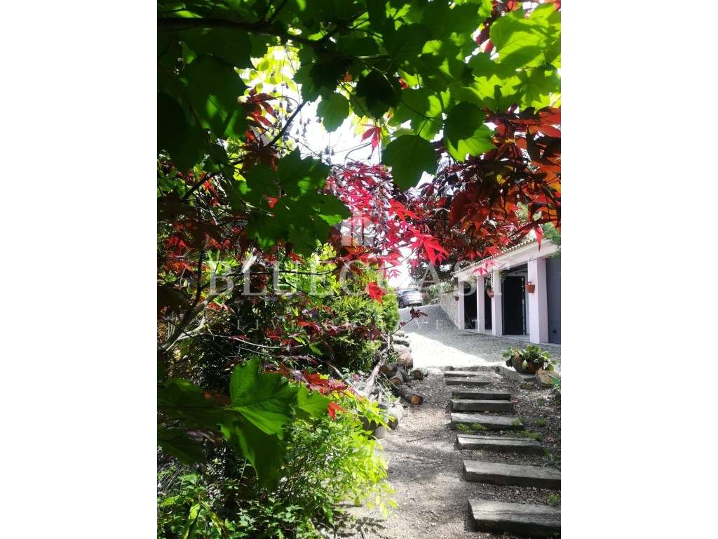 Maravilhosa quinta no Parque natural da Serra da Estrela - Conforto...-7