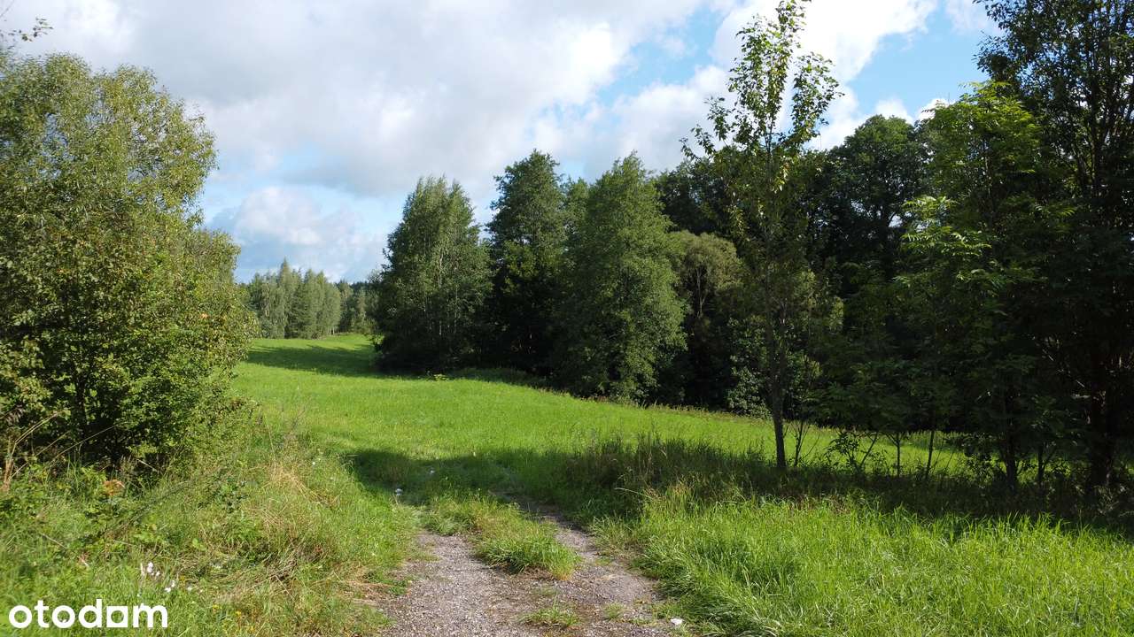 Budowlana, dostęp do pięknego rozlewiska i rzeki, SP 1km, Gołdap 15min-8