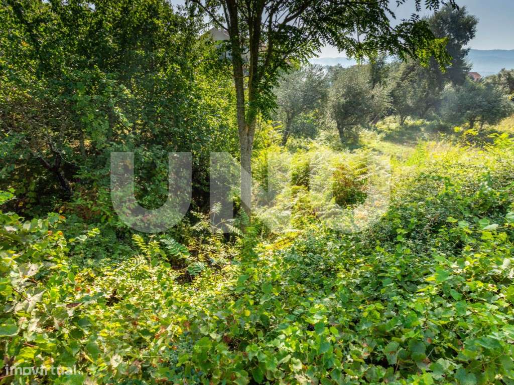 TERRENO RÚSTICO COM VIABILIDADE DE CONSTRUÇÃO NO DOMINGUIZO, COVILHÃ! - Grande imagem: 3/9