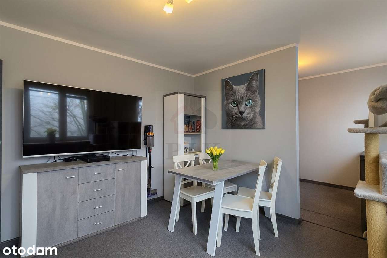 Przytulne 3pokojowe Koszutka ul Grabowa, po termomodernizacji, sprawdz-6