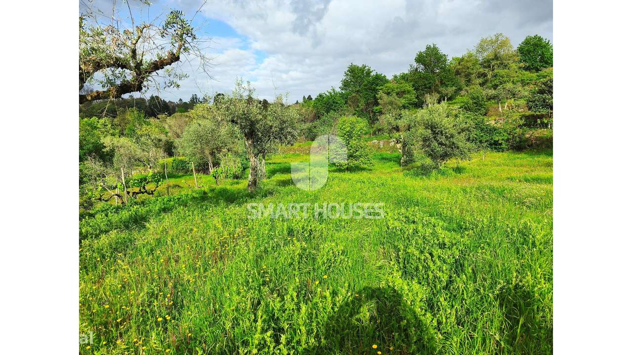 Quintinha em Vila do Mato-16