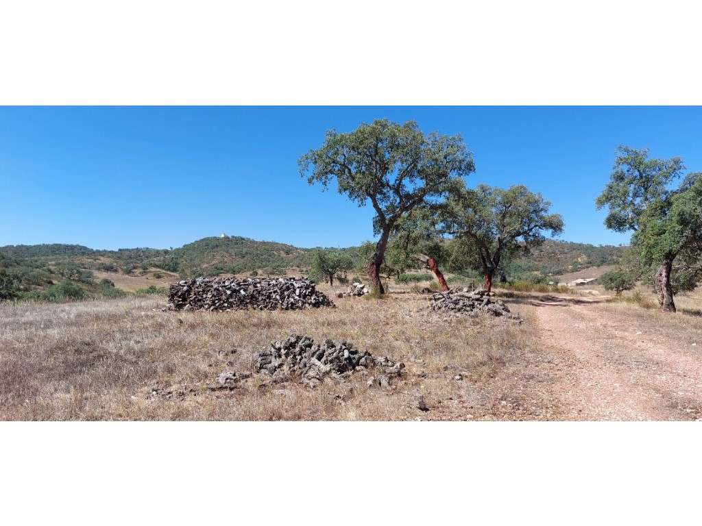 HERDADE 92 ha l Colos-41