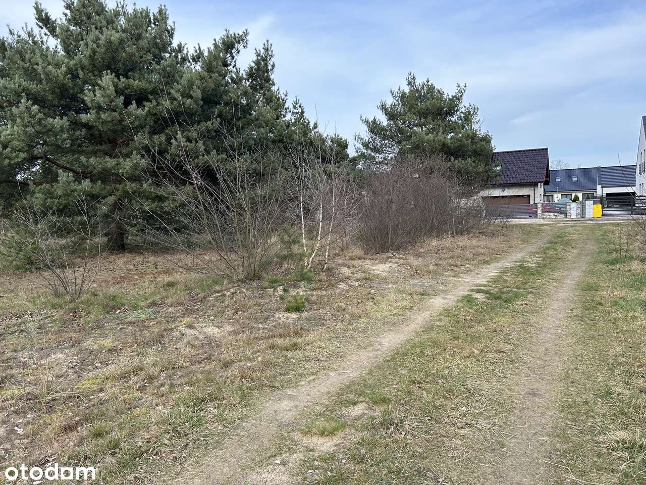 Działki budowlane w środku lasu blisko Wrześni Psary-8