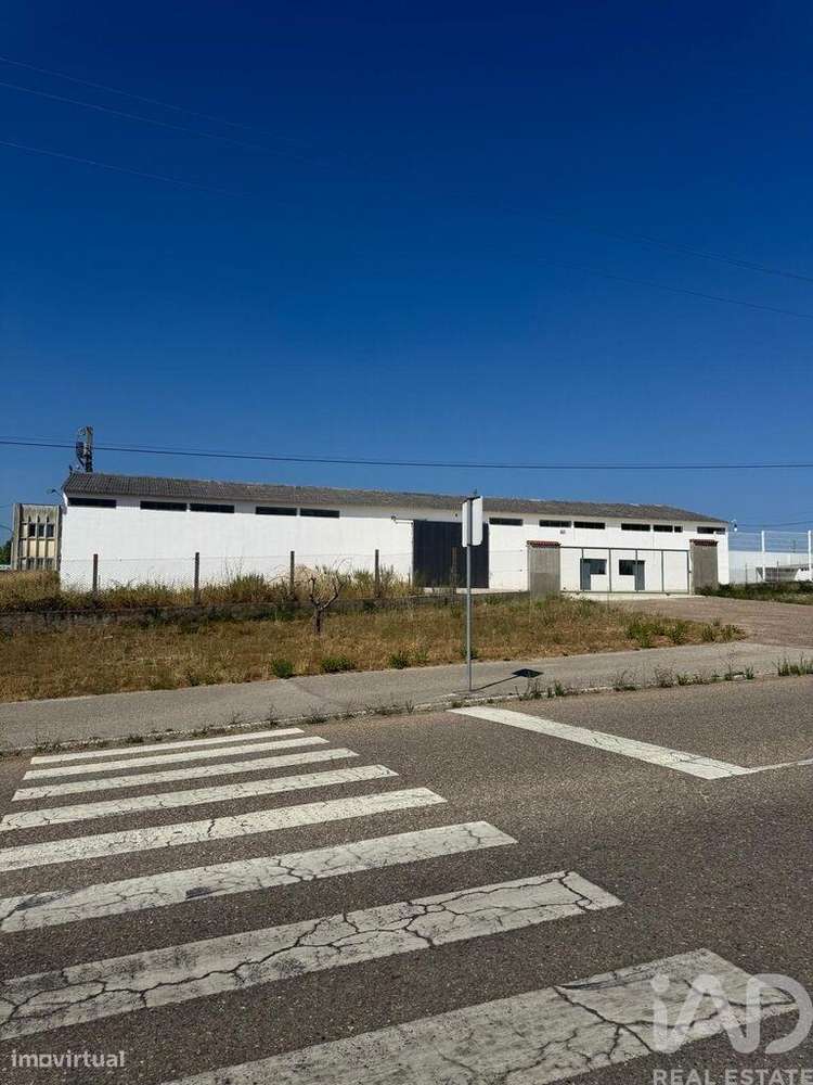 Loja / Estabelecimento Comercial em Madalena e Beselga de 667,00 m2 - Grande imagem: 5/23