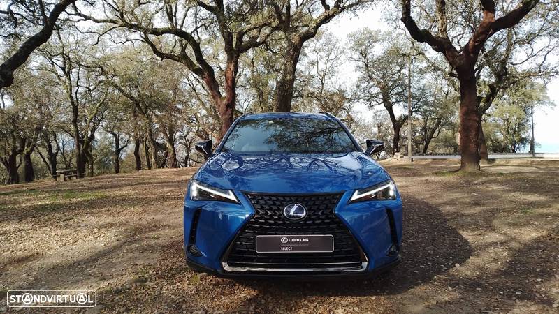 Lexus UX 250h Special Edition (LCA) - 2