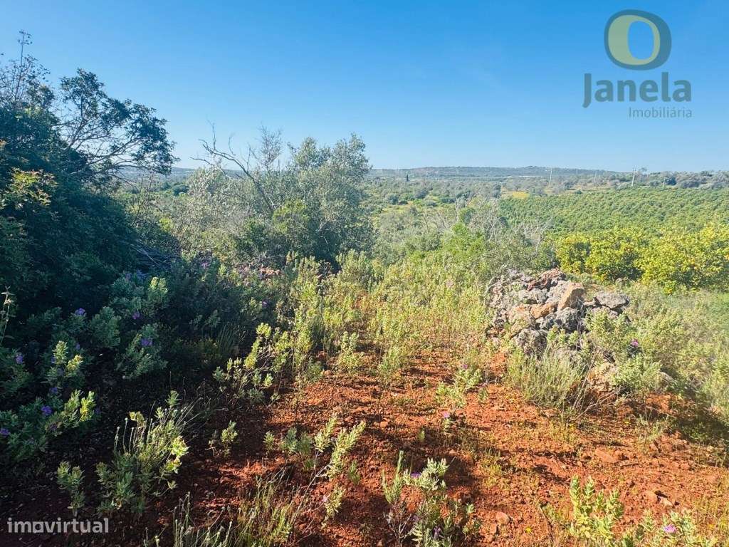 Terreno Rústico com Vista Panorâmica - Paderne, Algarve - Grande imagem: 4/5