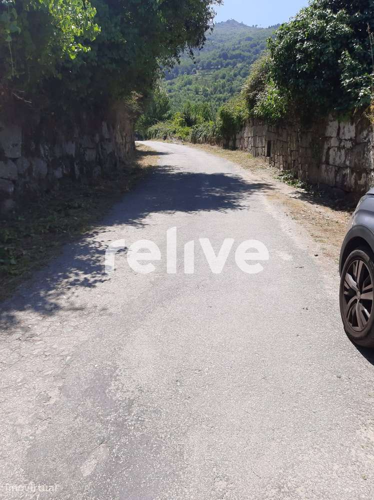 Quinta dos Poços com 2 hectares e ruina para Venda em Resende, Viseu - Grande imagem: 5/23
