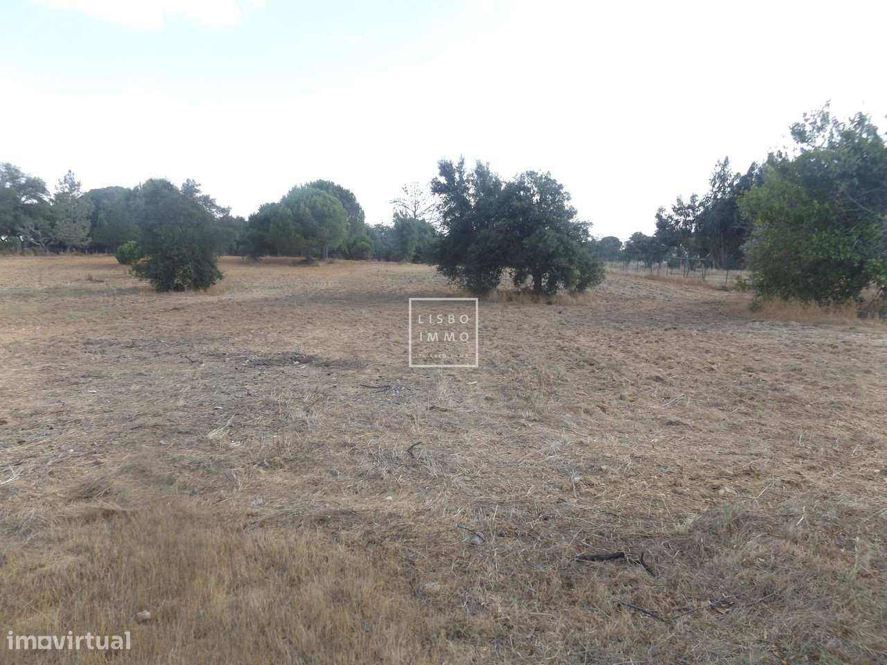 Quinta de 550m2, terreno de 18416m2, 5 suítes, piscina, Grandola, Setu-24