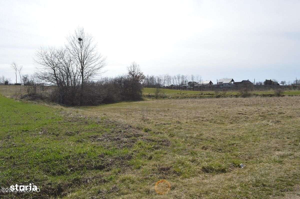 Suseni - Teren intravilan rezidential, suprafata 4000 mp - Imagine principală: 4/15