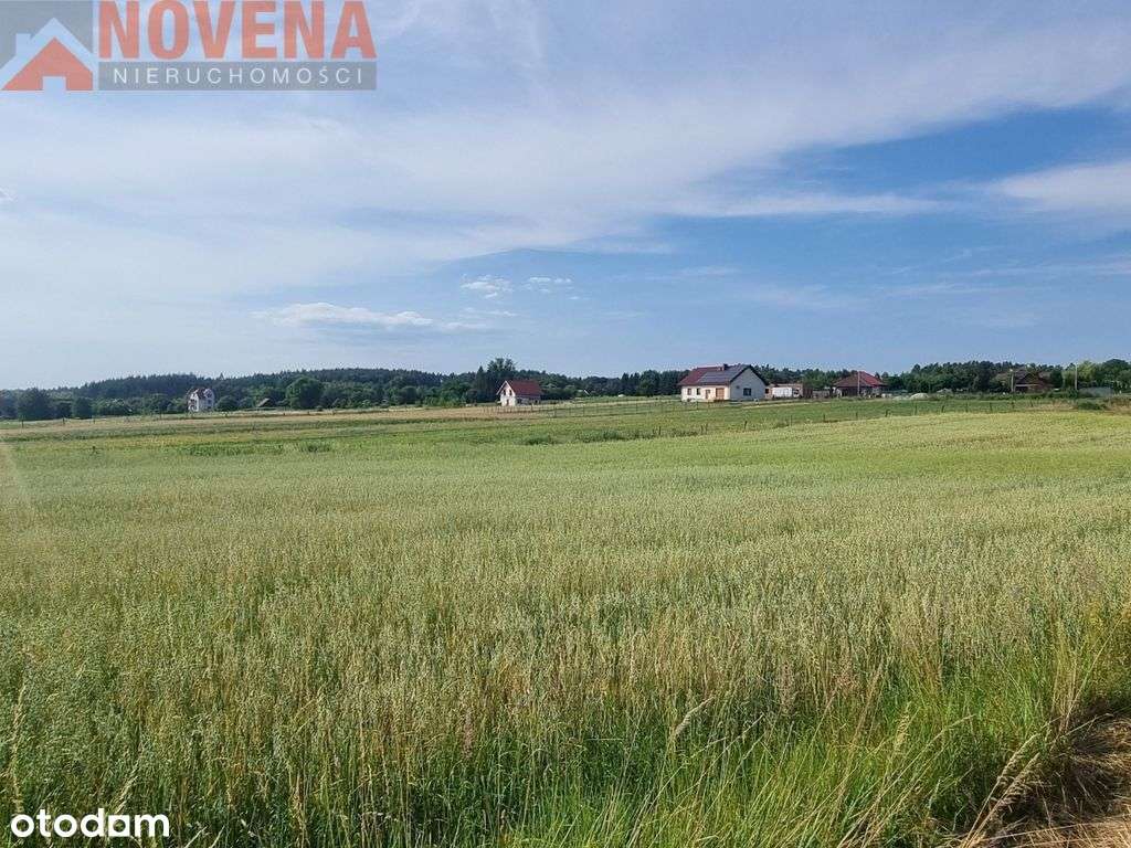 Niedary, las 280m - Pełny obrazek: 5/11