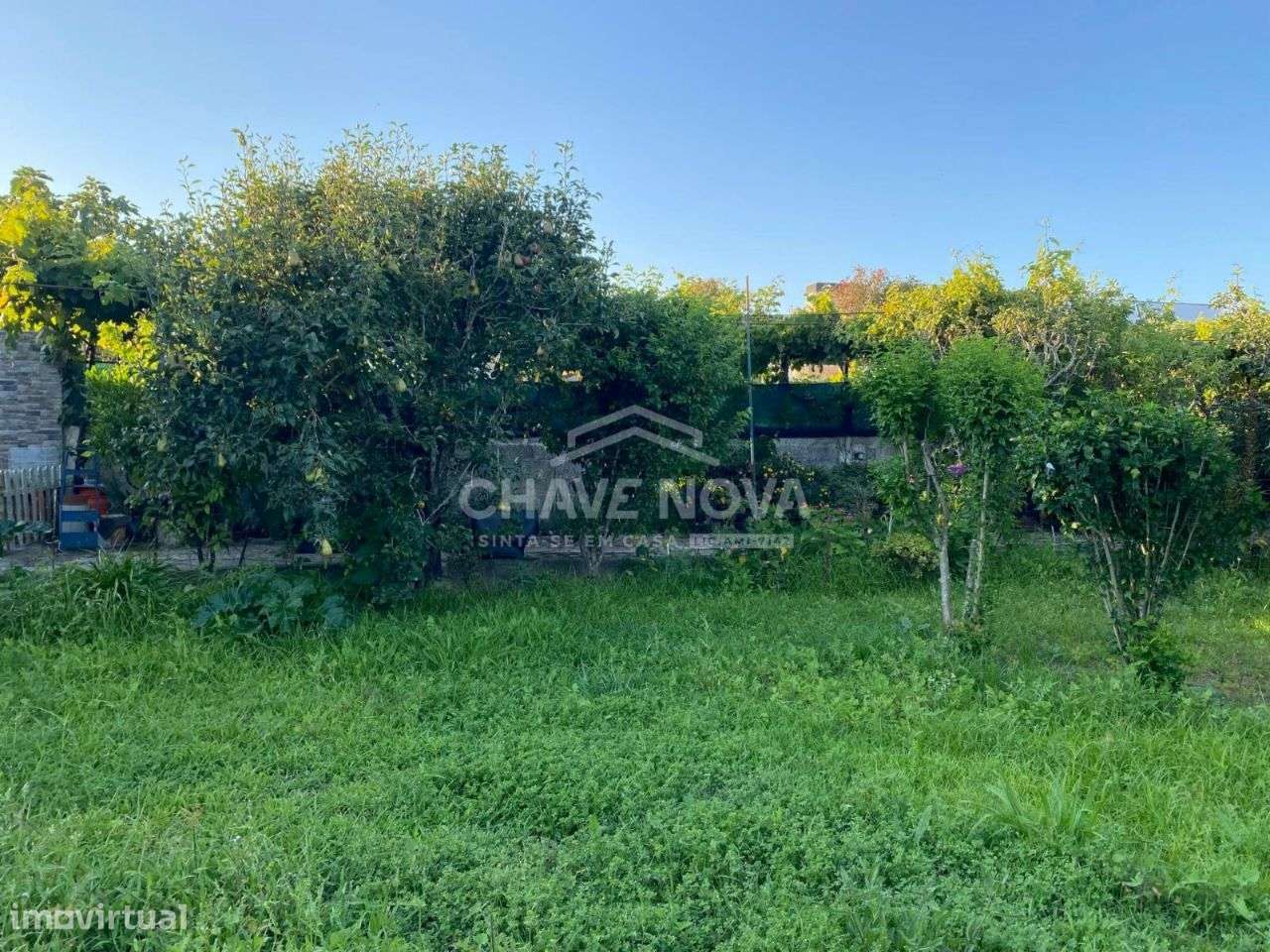 Terreno na Madalena com 1000m² murado - Grande imagem: 5/16